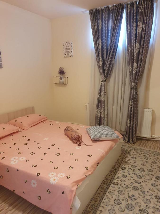 Relax Haus Hotel Hunedoara Luaran gambar