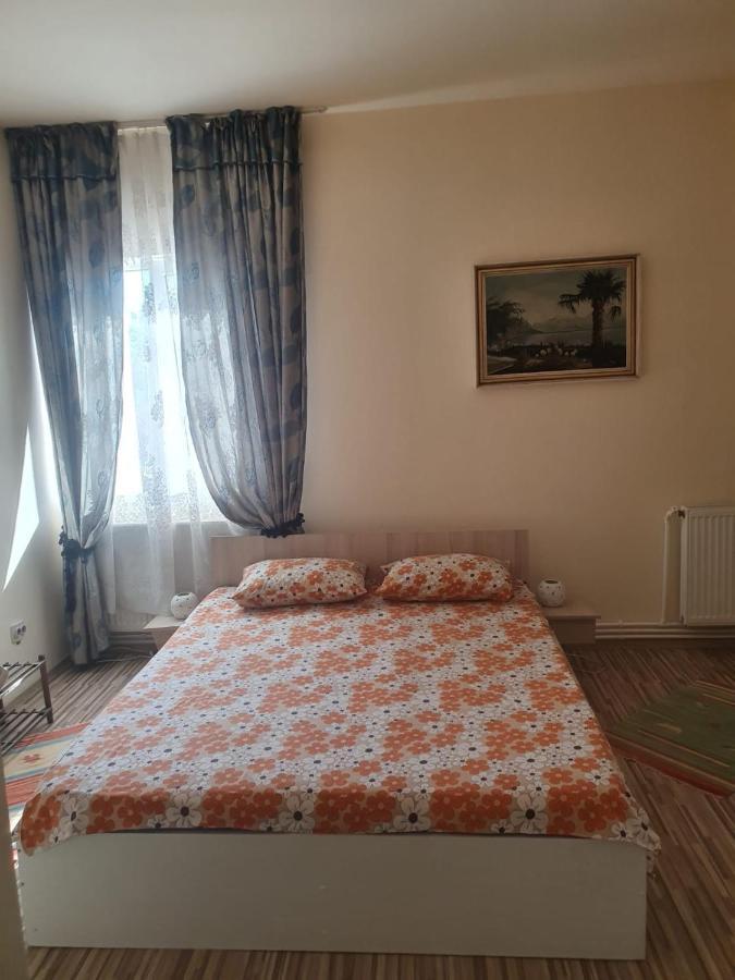 Relax Haus Hotel Hunedoara Luaran gambar